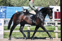 Raquel Dickin and Raconteur