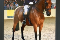 Jodie Shenton and Pipistrelle