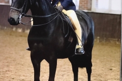 Ella Georgakis and Mansionhill Magic Star