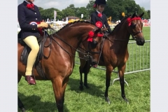 Olivia Bennett and Roxaires Aphrodite