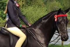 Scarlett Trott and Mansionhill Bertie Bassett