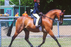 Gracie Aungier and Broadgrove Little Star