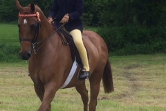 Romanno Hot Spot and Molly Walsh