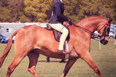 Rotherwood peeping star and Zoe Burton