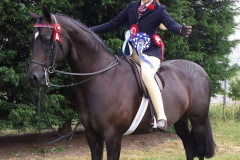 Phoebe Rocks and The very handsome Green Barrow Mr. D'arcy