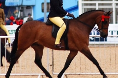 raemoir master plan and Ellie Morgan Conway