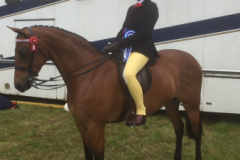 Sophie Beaumont Hand Broadgrove Diamond Jubilee