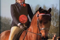 Chloe Heathcote riding Barkway moonfairy