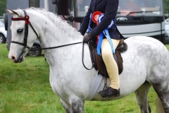 Emma Benson & Nefydd Adlaes