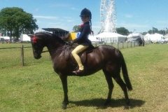 Livie Smith and Brookwater Carousel
