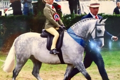 Georgie Grace riding Priestwood Roc Star