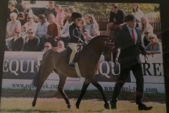 Hollybush Romeo and Daisy may Allen