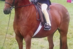 Katie Parker and Hollybush Silhouette