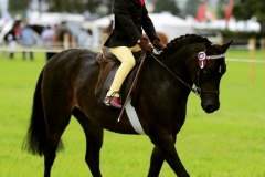 Kobi Hunter Watt and Poweys Baby Doll