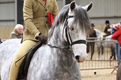 Lucas Bell and Gwithian Percival