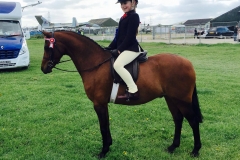 Lauren Tate and Brookwater Toy Boy