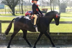 Woodroyd Celebration and Eugenie Godfrey-Faussett