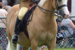 Selene Regan and Henfynyw Bleddyn