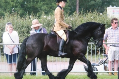 Emily Morey and Littletree Clinton