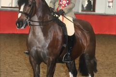 Amy Tate and Rivervalley Flash Jack Amy Tate and Rivervalley Flash Jack