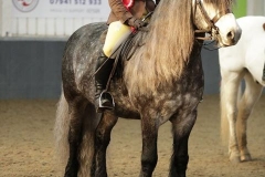 Rhi Randall and Bluebraes Merrick qualified Rhi Randall and Bluebraes Merrick qualified