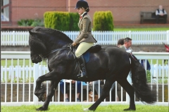 Georgie-Lewis-Roberts-and-Fulford-Micky Georgie-Lewis-Roberts-and-Fulford-Micky