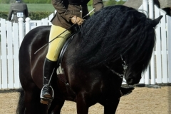 Georgie-Lewis-Roberts-and-Fulford-Micky Georgie-Lewis-Roberts-and-Fulford-Micky