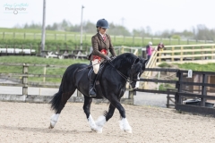 Eleanor-Smithers-Horse_Pony-Dorneyrow-Jackpot-Boy