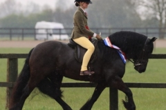 Megan-Victor-Horse_Pony-Highbrook-Annie-Power