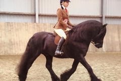 Severnvale George rider Molly Kushner