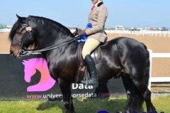 Mia Whittaker and Foalsyke little topper