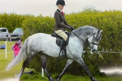 Betsy-Marriott-and-Barrowby-Royal-Rein