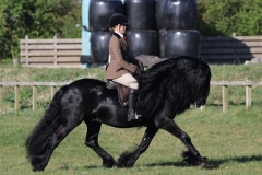 Georgia Jones and Greenholme Knight