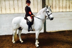 Harrison Taylor and Sydserff Gismo