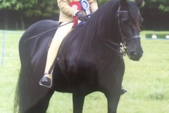 Hedgethorpe April Morning and Tara Robinson