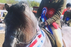 Holmedown Taladega and Isobel Mae Lines