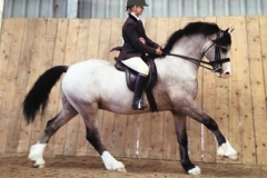 Menai Radium and Leah May