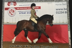 Amy Tate and Rivervalley Flash Jack