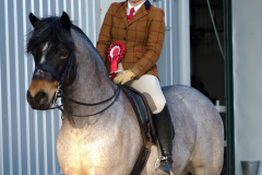 Ellie Lamont Horse:Pony Sean Bhaile Larry