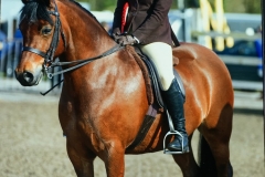 Mia Whittaker and Halliwell Sian