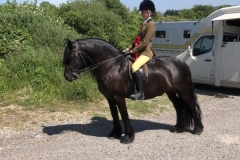 Sophie Turner and Drummerdale black diamond