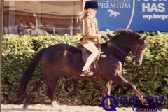 Matilda Masters and Birkinbrook Julliet