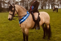 Megan white and Thunderbolt Fairy Robin Bambi copy