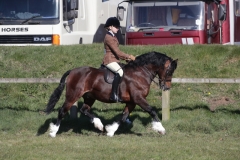 mogen-Hargraves-and-Menai-Lord-Cameron