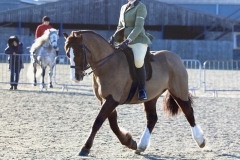 Scarlett-Tharme-and-Oakmill-Horatio