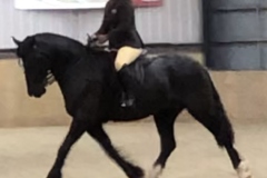 Emily-Locke-and-Santigma-Peacemaker