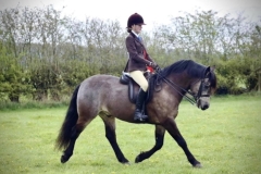 Georgie-and-Caherlistrane-Eoin