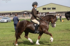 brooke-corbett-and-brynseion-red-rose