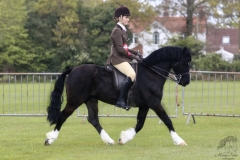 Cassie-Barney-and-Popsters-Joe-Black