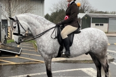 Georgia-Jones-and-Carramore-Fred